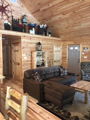 Smart TV, fireplace, DVD player, books