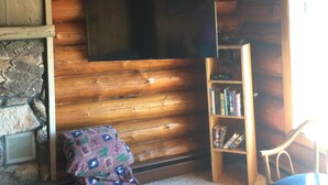 Interno di una baita in legno con camino in pietra, una TV a schermo piatto montata a parete, una libreria e una panca imbottita.