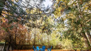 Een picknickplaats met blauwe stoelen en een picknicktafel, omringd door bomen met herfstbladeren.