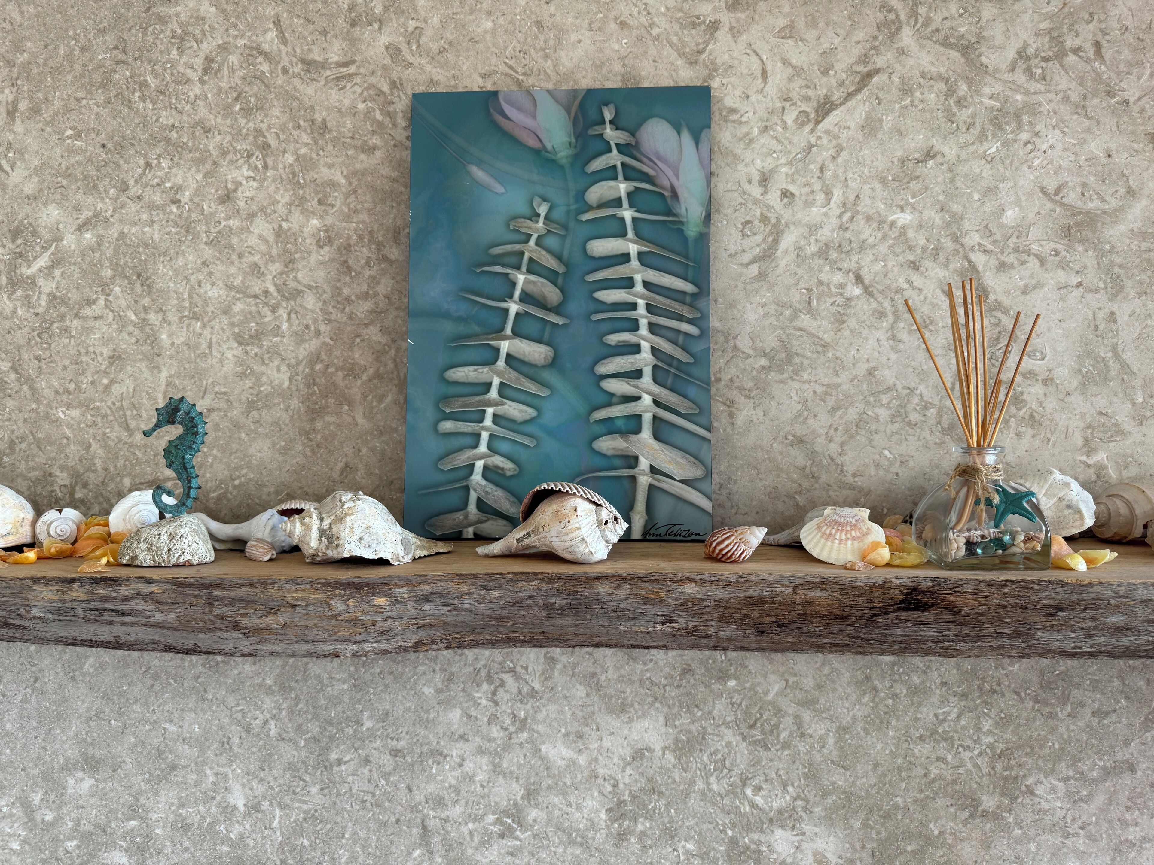A shelf with seashells, a seahorse, a painting of a fish skeleton, and a reed diffuser.