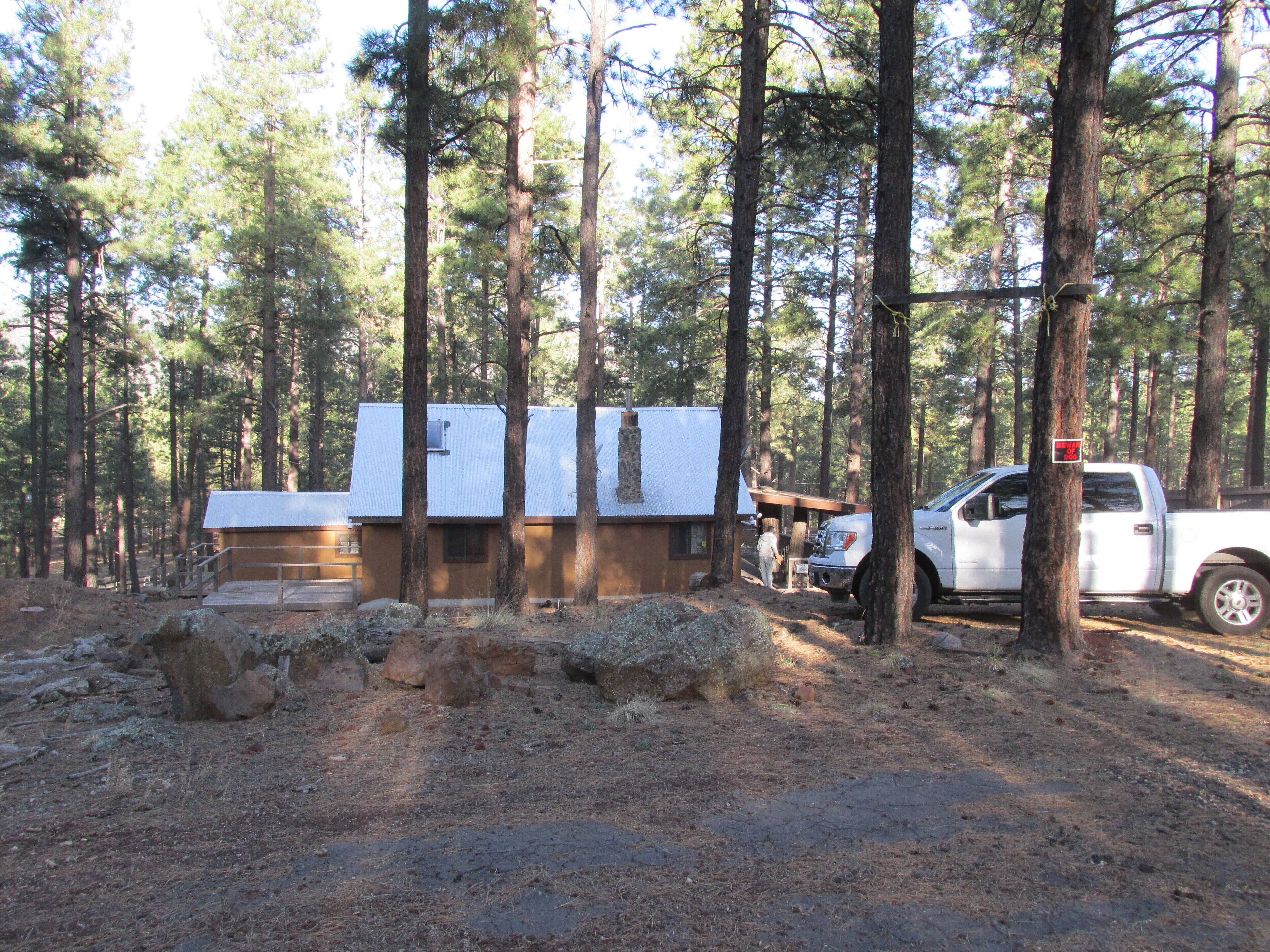 A cabin with a metal roof, surrounded by tall pine trees.