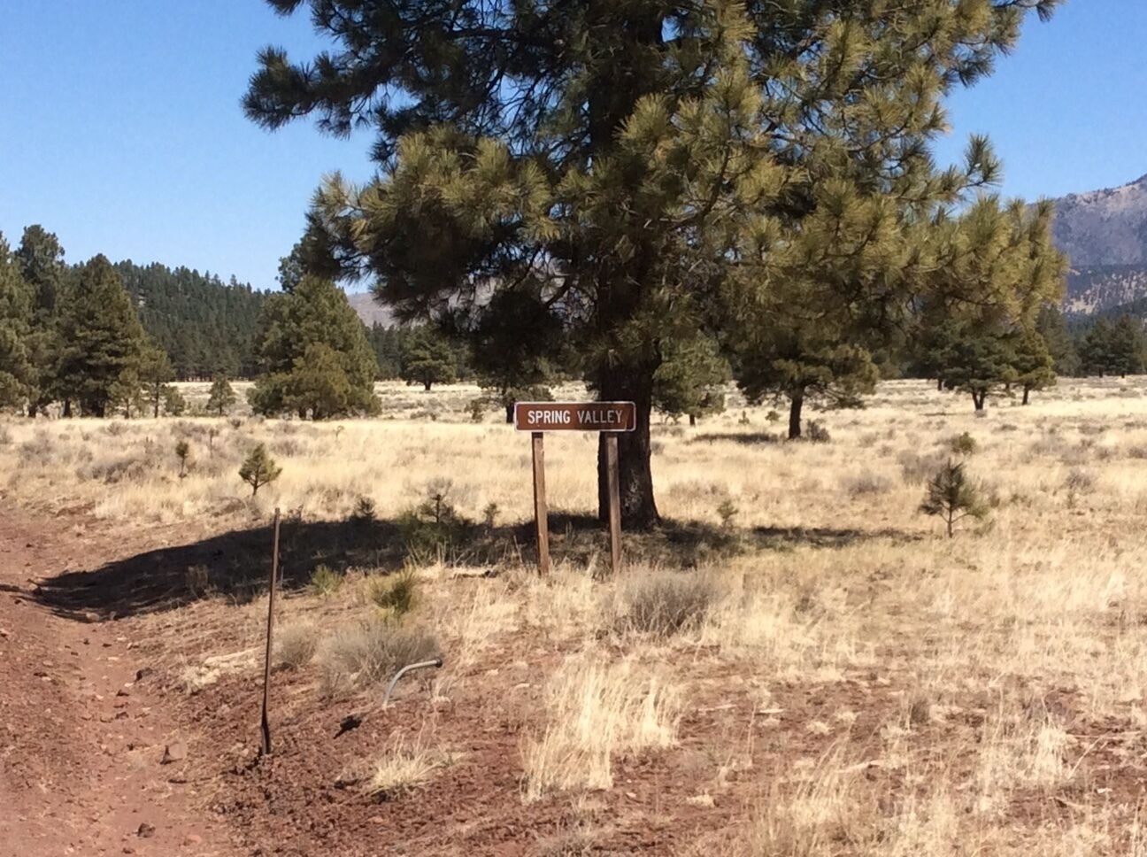 Un cartello in un campo arido e erboso, con un grande albero sullo sfondo.