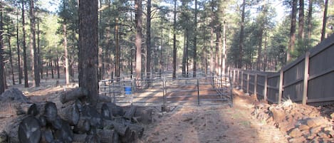 Walk through the forest along a dirt path lined with logs and a wooden fence.