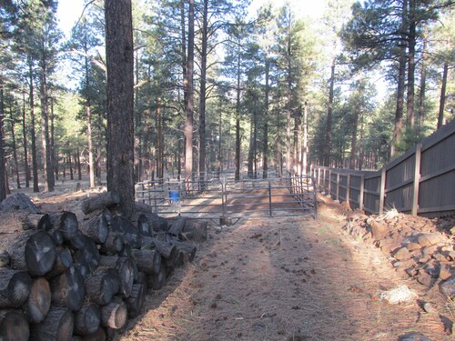 Ah!! Peace & Nature among the pines-65 miles to Grand Canyon & 25 to Flagstaff