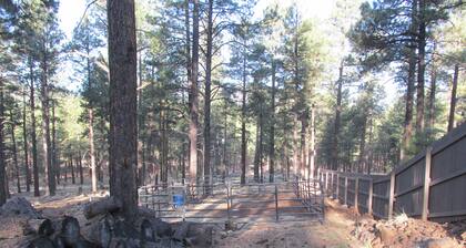 Ah !! Paz y naturaleza entre los pinos: 65 millas al Gran Cañón y 25 a Flagstaff