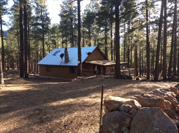 A cabin with a metal roof, surrounded by tall pine trees, and a stone wall in the foreground.