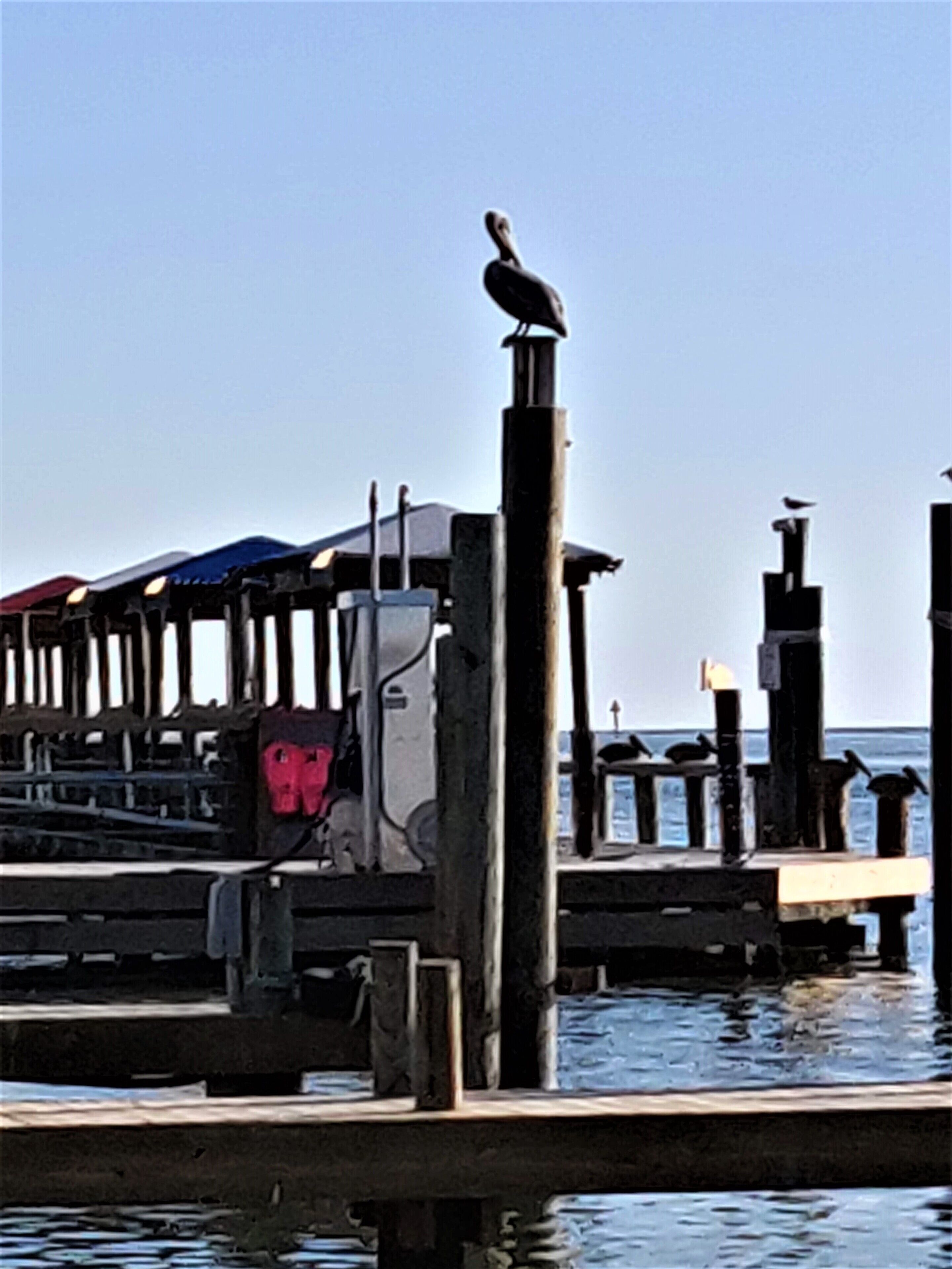 A pier with a bird perched on a post, wooden structures, and a body of water.