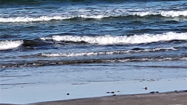 Una playa con olas y un cielo despejado.
