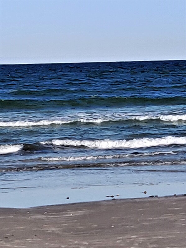 Beach nearby, sun loungers