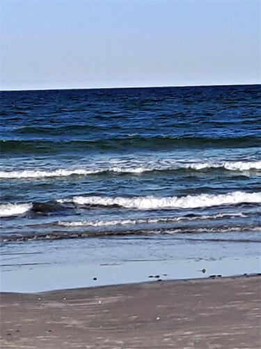 Fish from the pier, swim in the pool, walk to the beach.
