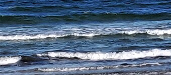 Les poissons de la jetée, nager dans la piscine, à pied de la plage.
