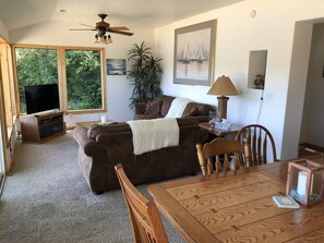 Smart TV, fireplace, DVD player, books