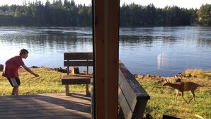 Terraza de madera con un banco que da a un lago, rodeada de césped y árboles.