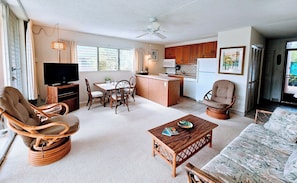 TV, DVD player, books