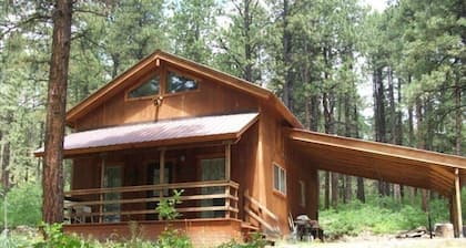 Heiden’s Hideaway. Private Community. 30 Min to Durango/Vallecito