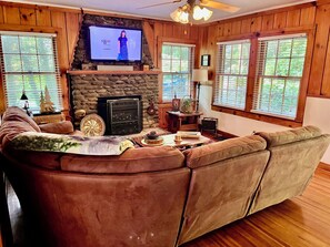 Smart TV, fireplace, books