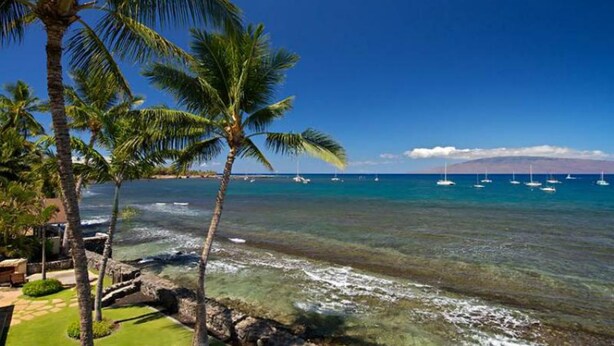A beach with clear water, palm trees, and boats in the distance. - Maui Rainbows And Waves!~Gorgeous Oceanfront Views!! ~ 2 Bdrm ~Corner unit w A/C (Lahaina)