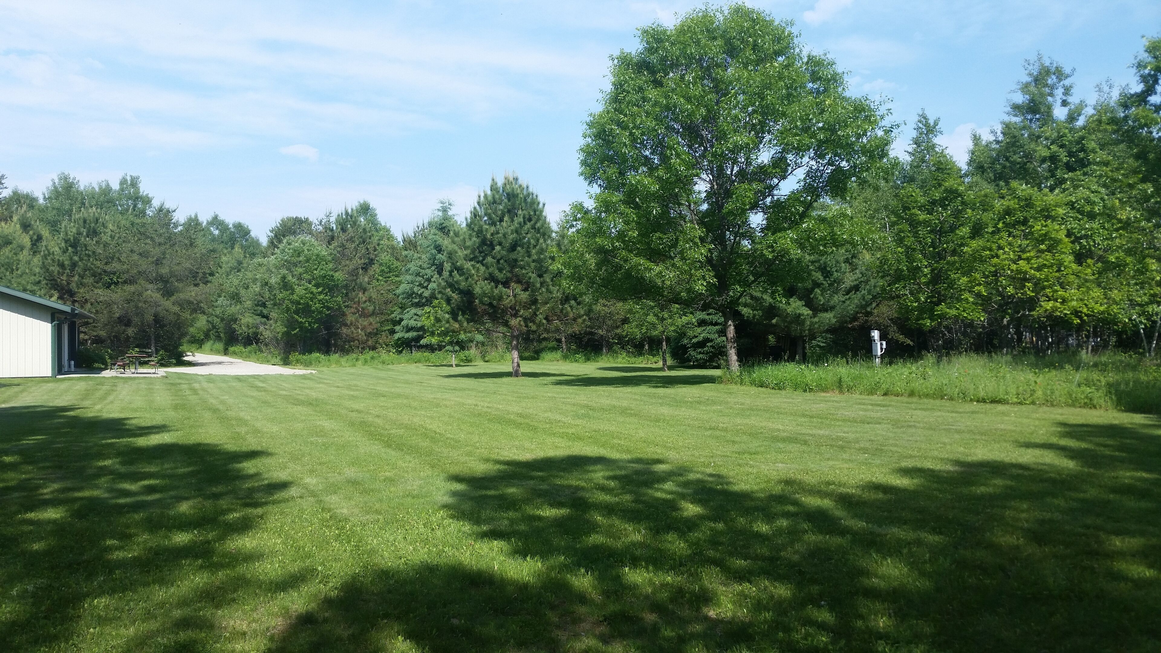 A grassy outdoor area with a building on the left and a large tree in the center.