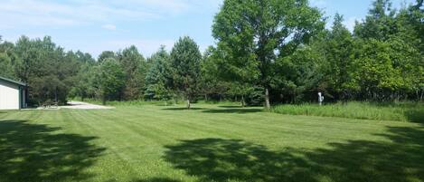 A grassy outdoor area with a building on the left and a large tree in the center.