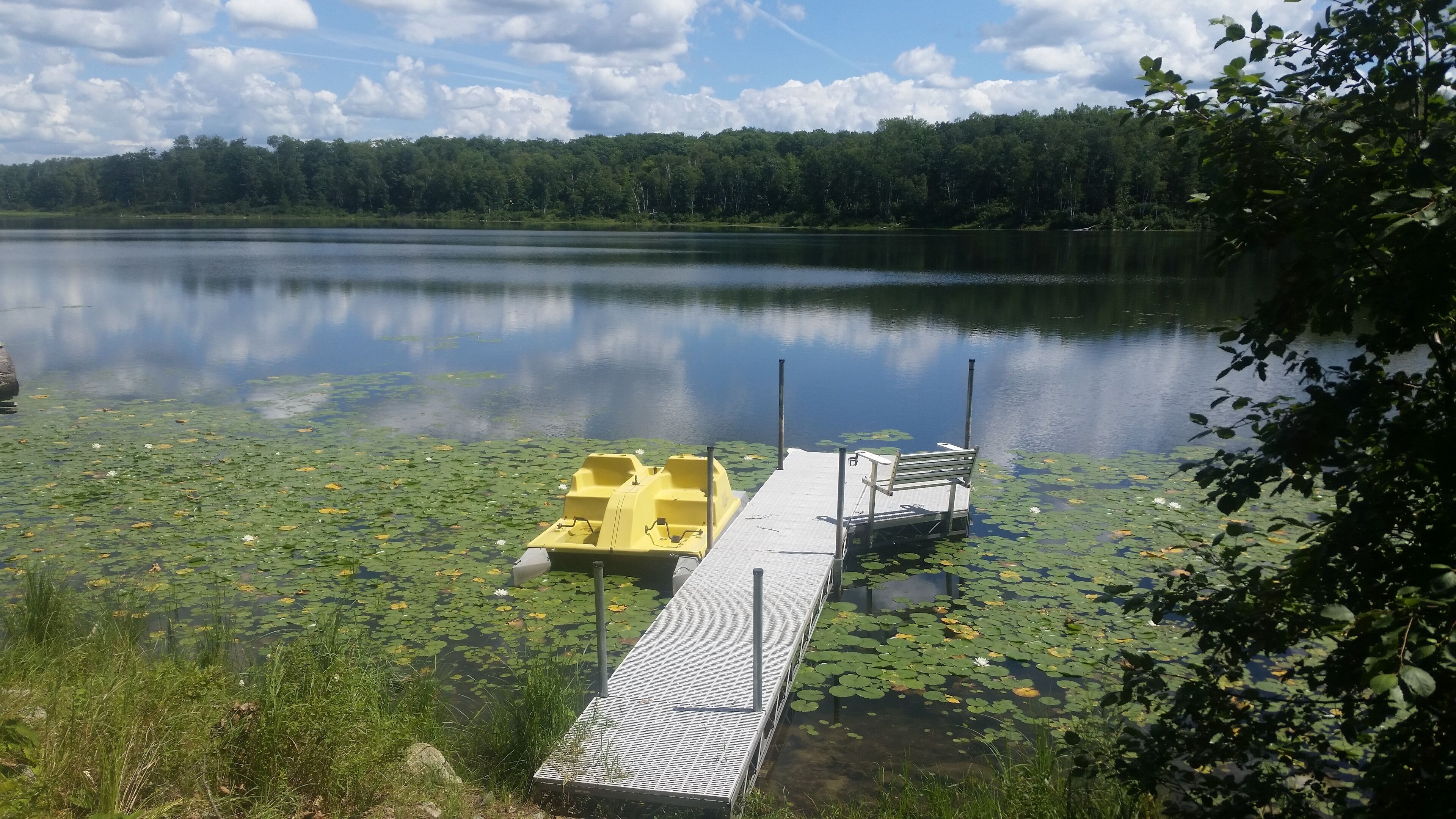 A calm lake with a dock, lily pads, and a forest in the background.