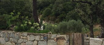 Maison de Caractère dans jardin arboré proche mer et riviere