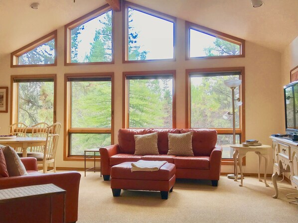 TV, fireplace, video games, DVD player