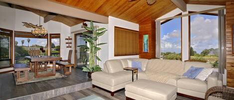 Smart TV, DVD player, books, stereo