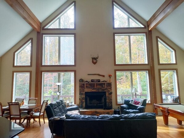 Smart TV, fireplace, DVD player, books