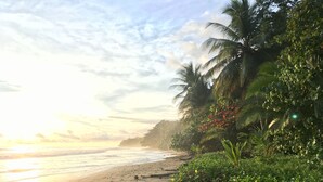 A beach with a sandy shore, palm trees, and dense greenery. - Beach Front Home in Ballena Marine Natl Park (Uvita)
