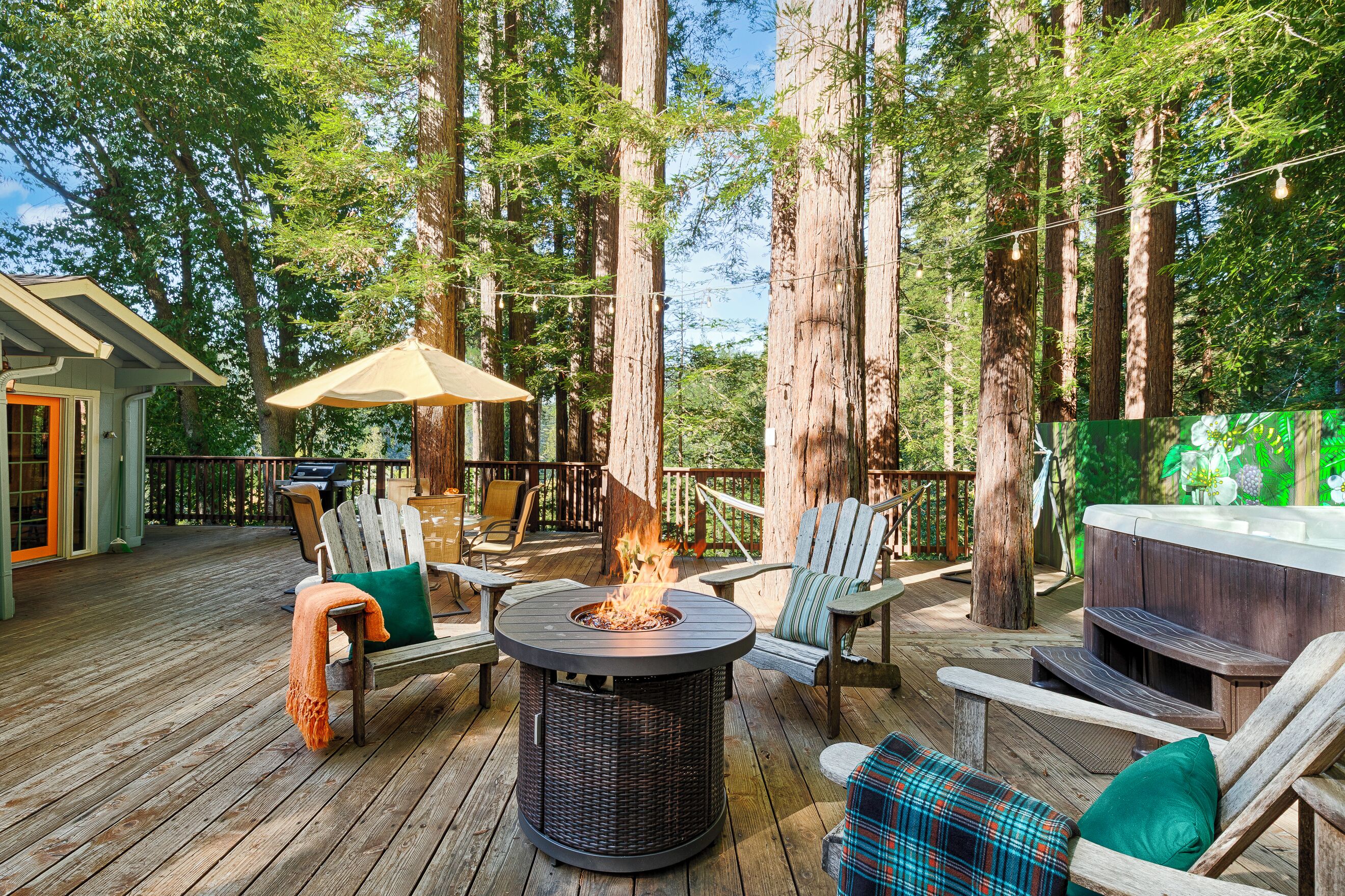 テラス / パティオ