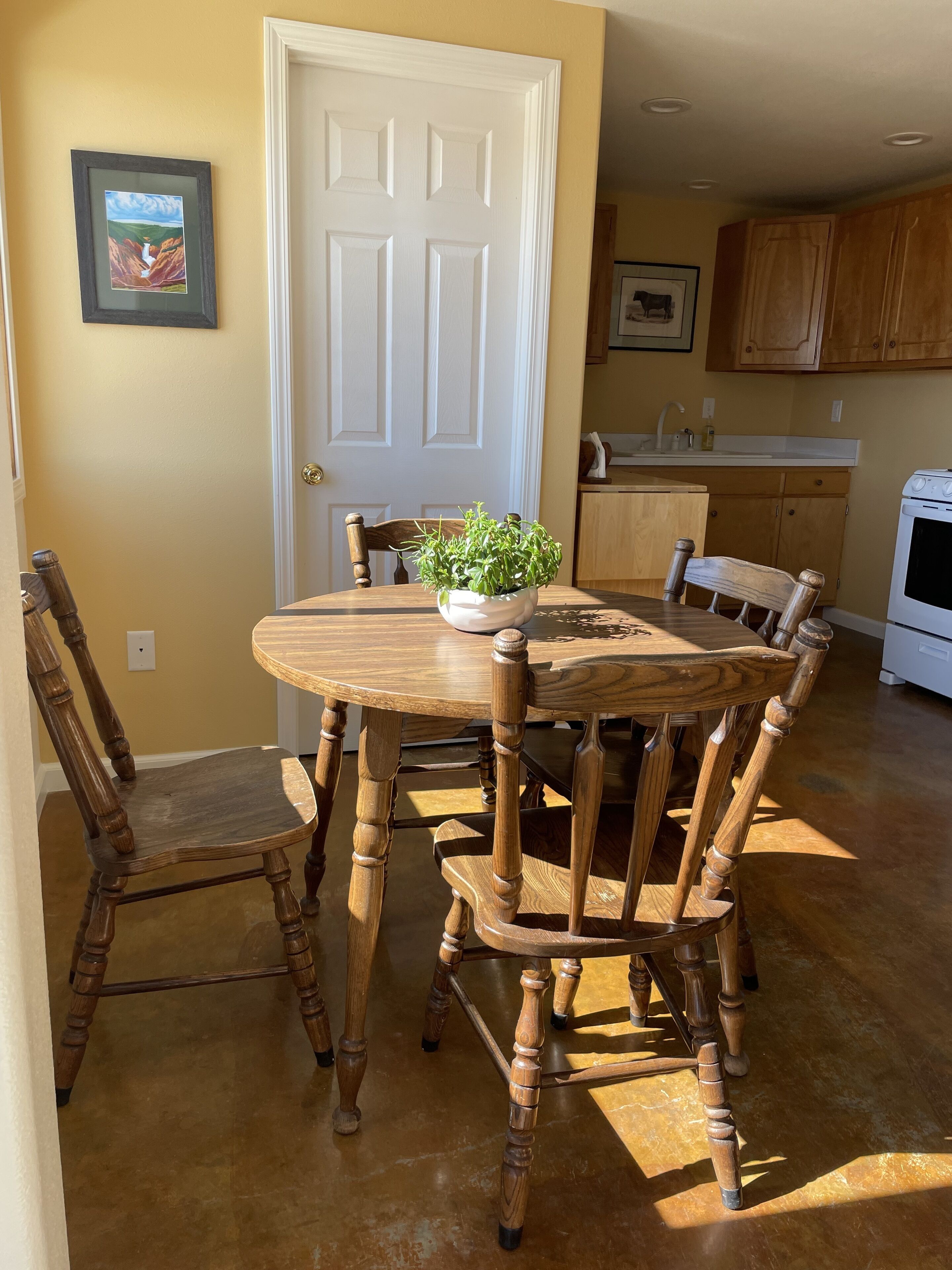 A dining area with a round wooden table, six chairs, and a potted plant.
