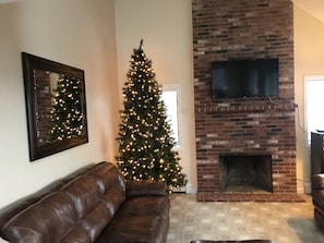 TV, DVD player, video library