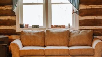 Smart TV, fireplace, DVD player, video library