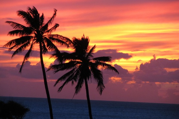 Amazing sunsets almost every night