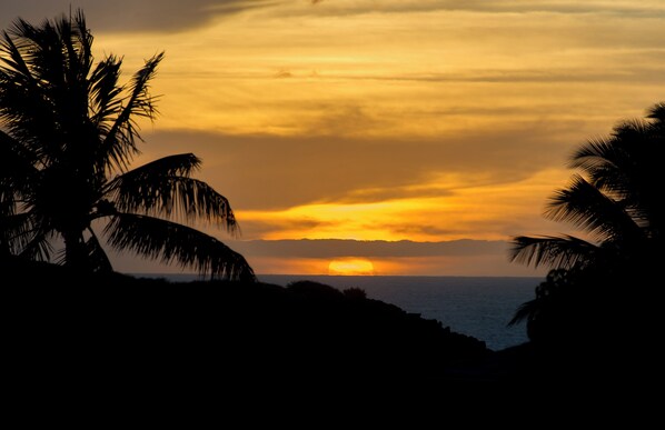 A sunset over a coastal landscape with silhouettes of palm trees. - Beautiful top floor condo w/ amazing view of Papohaku Beach (Maunaloa)