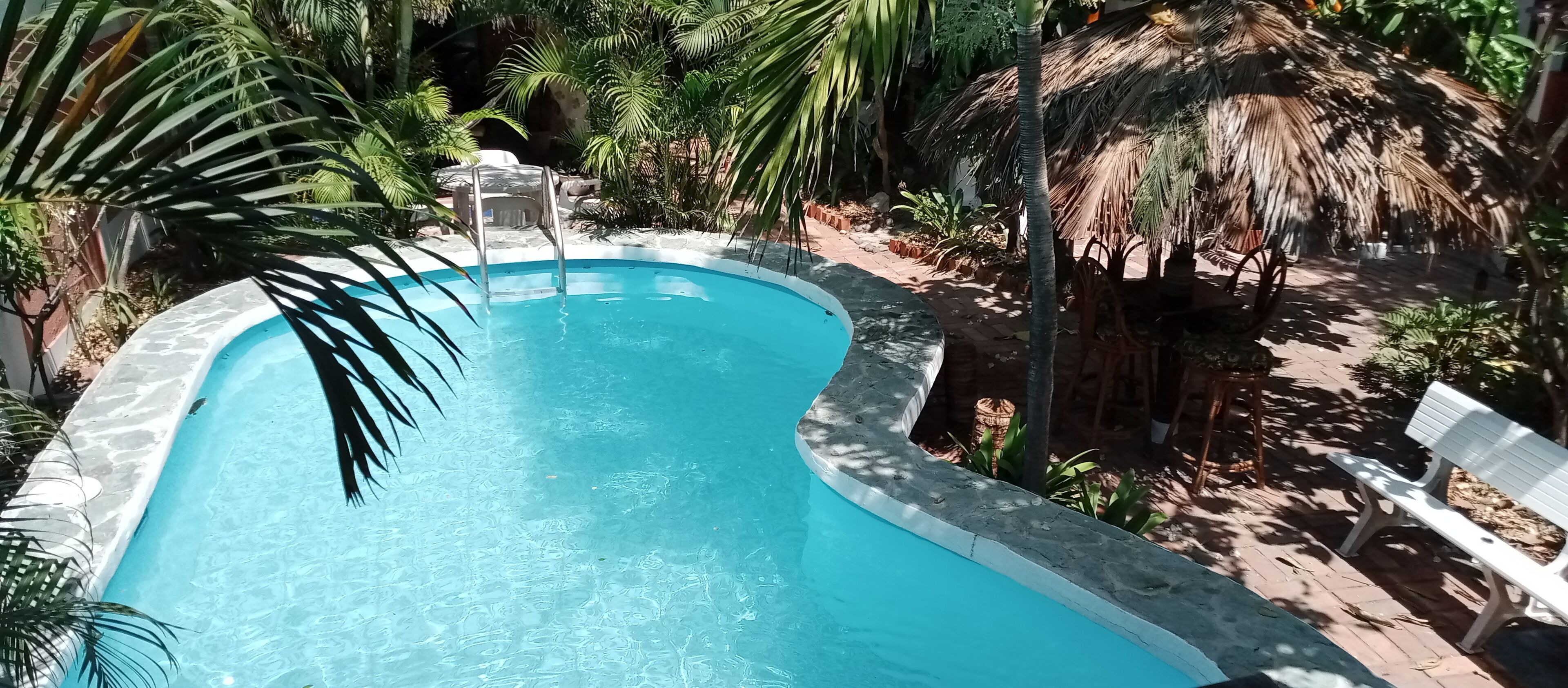Swimming pool area Tiki parasol with chairs, table, sofa and part of garden.