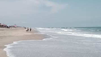 Accommodatie ligt op het strand, ligstoelen