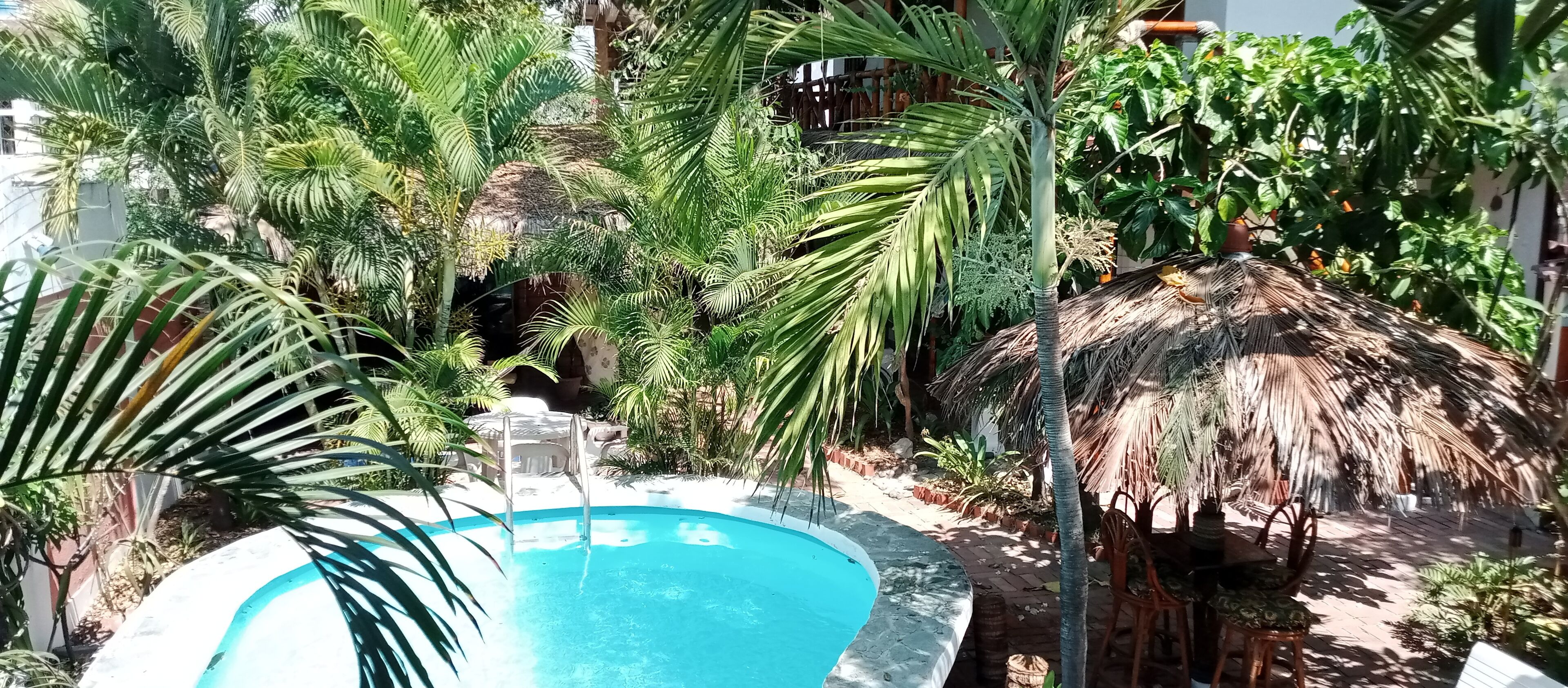 Swimming pool area Tiki parasol, sofa, chairs, table and part of garden.
