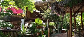 Property grounds - LA POSADA DEL SUECO!
Ocean Front Tropical Guest House, Playas Ecuador (GENERAL VILLAMIL)