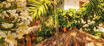 LA POSADA DEL SUECO!
Ocean Front Tropical Guest House, Playas Ecuador