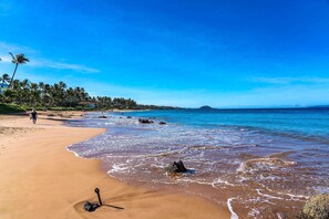 A beach with clear skies, palm trees, and a calm sea.