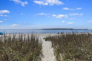 A beach path leading to the sea with sparse vegetation on either side.