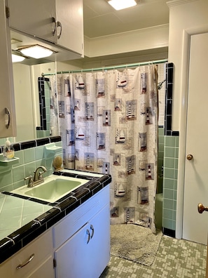Combined shower/tub, towels, toilet paper - Lake Home, Elite Location Off Hwy 7 So. with Best View on Lake (Hot Springs)