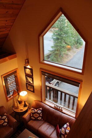 Smart TV, chimenea, reproductor de DVD y libros 