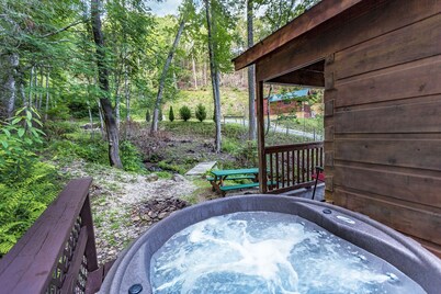 Mountain serenity close to hiking, rafting, fishing and kayaking.  "Coyote Song"