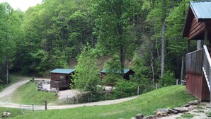 A cabin with a dirt path leading to it, surrounded by dense forest. - Mountain serenity close to hiking, rafting, fishing and kayaking.  "Coyote Song" (Topton)