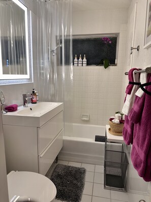 Combined shower/bathtub, hair dryer, bidet, towels