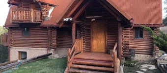 Handbyggd timmerstuga i Ponderosa skog