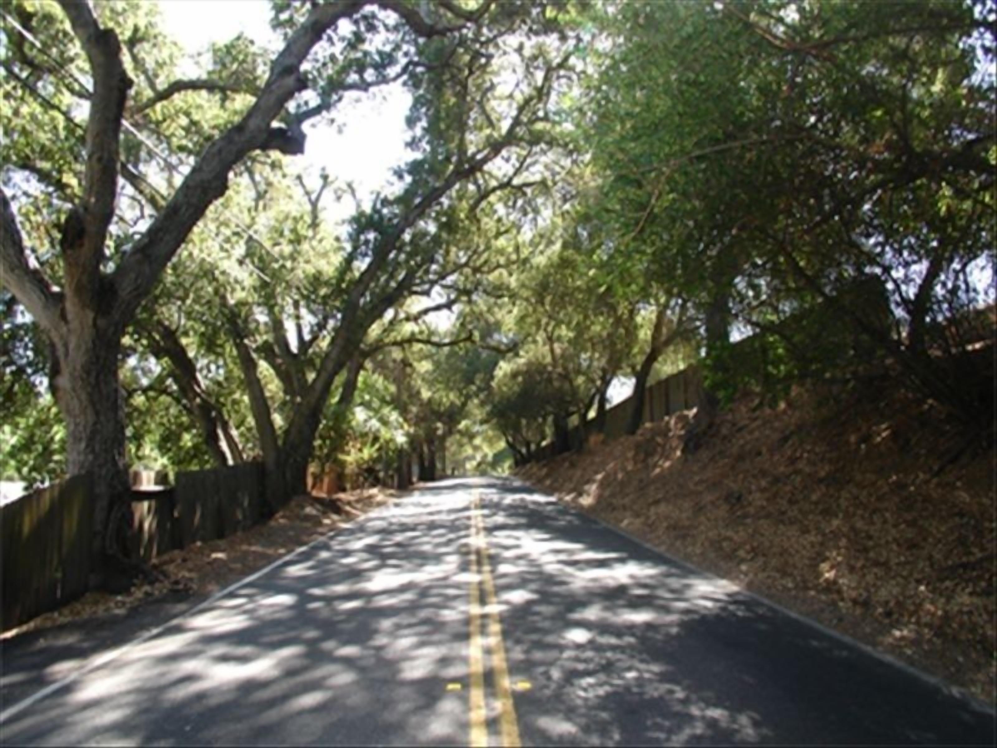 Guest House Suite - Serene Setting - Pet Friendly -  Clean & Homey !!  