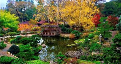 Guest House -sviitti - rauhallinen ympäristö - lemmikkiystävällinen